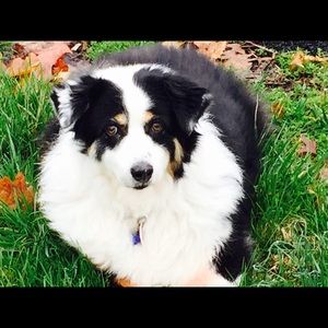 Meet your Posher, Robin